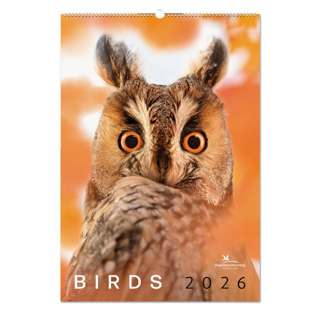 Birds poster kalender 2026
