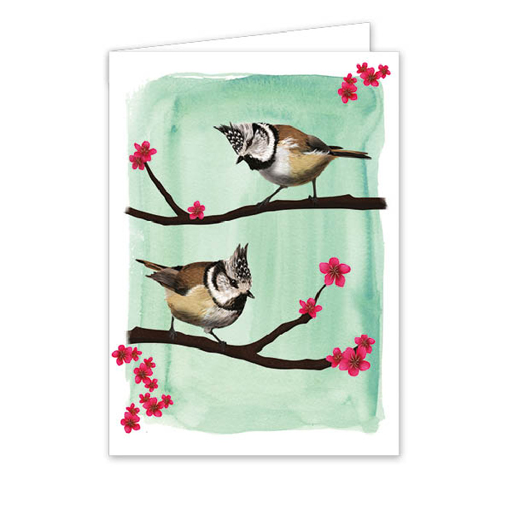 Myrte Crested Tit Card