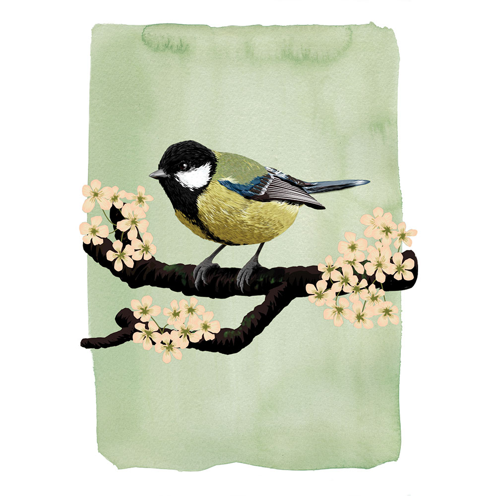 Myrte Great Tit Card