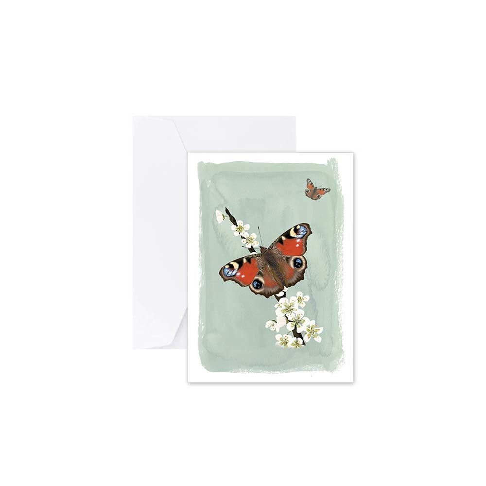 Myrte Peacock Butterfly Card