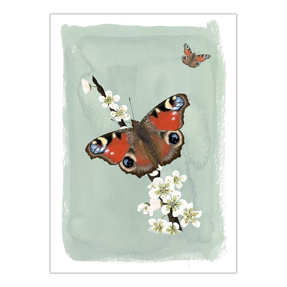 Myrte Peacock Butterfly Card