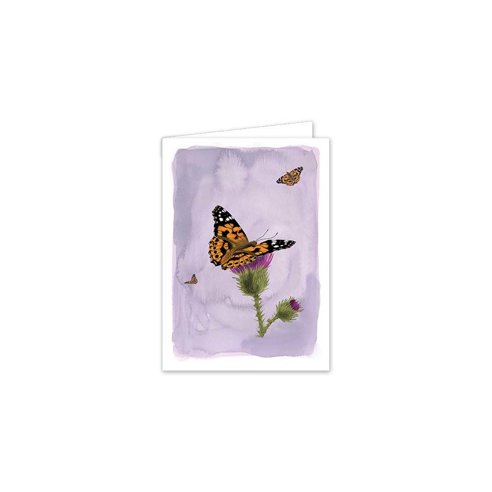 Myrte Painted Lady Butterfly Card