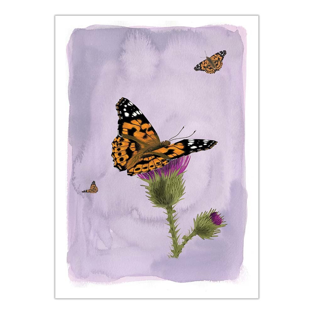 Myrte Painted Lady Butterfly Card