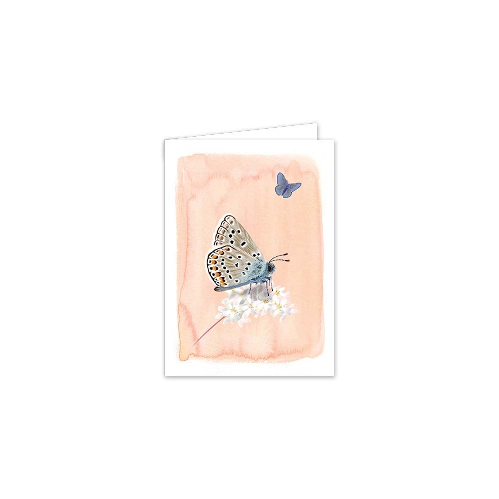 Myrte Common Blue Butterfly Card