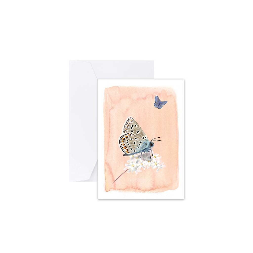 Myrte Common Blue Butterfly Card