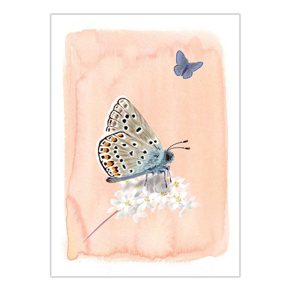 Myrte Common Blue Butterfly Card