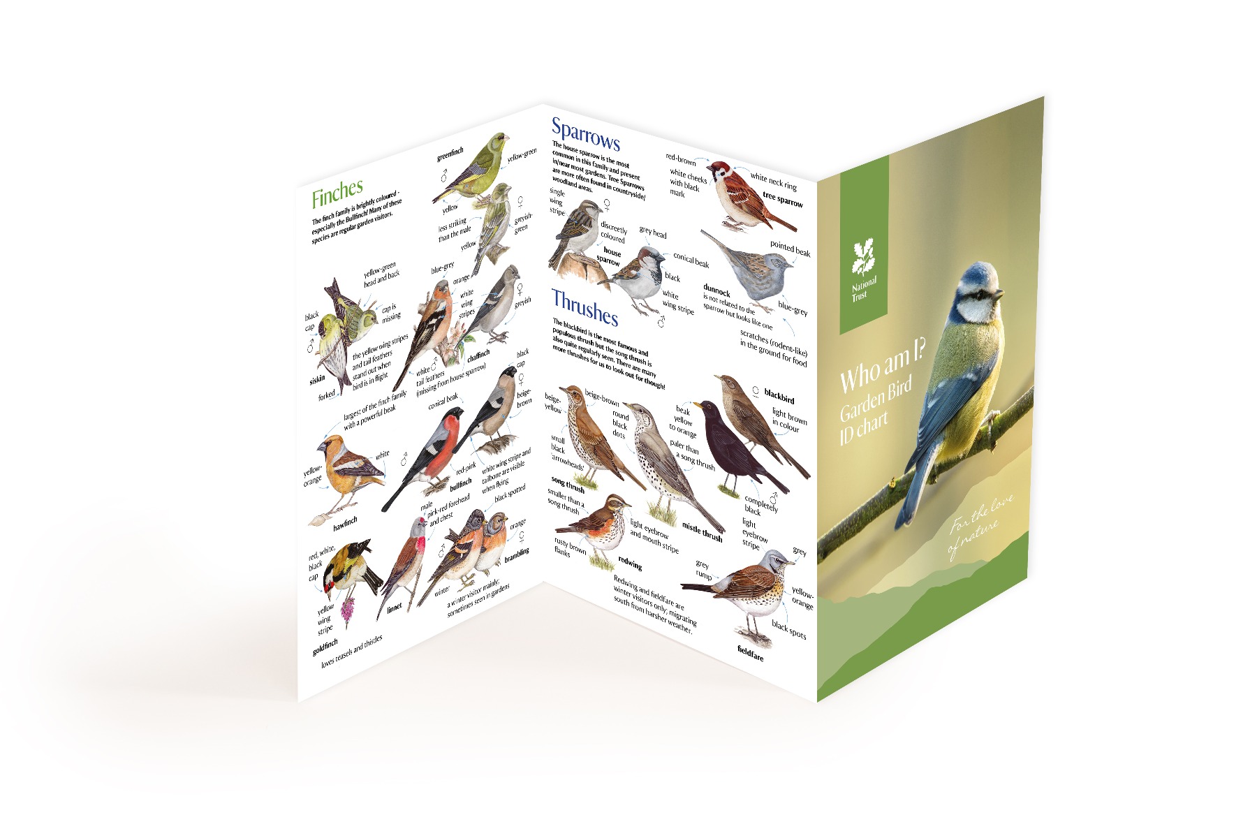 National Trust Bird ID Chart