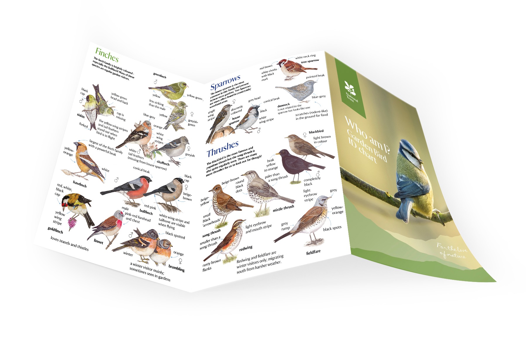 National Trust Bird ID Chart