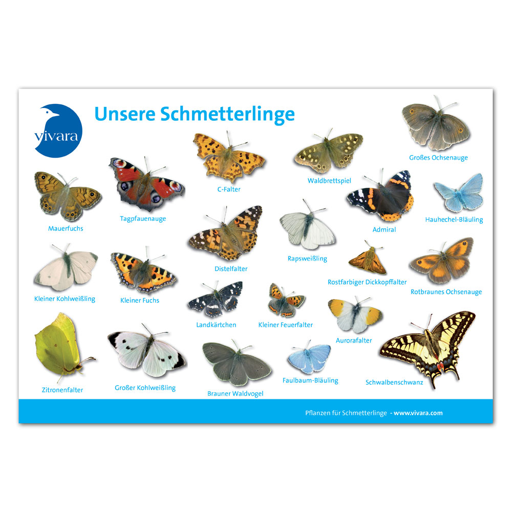 Tierkarte `Schmetterlinge´