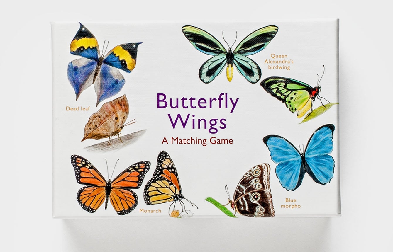 Butterfly Wings: A Matching Game