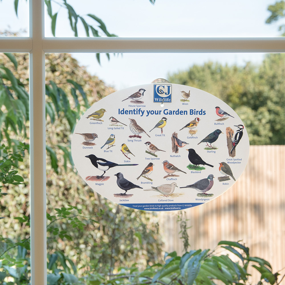 Garden Window Bird ID Chart