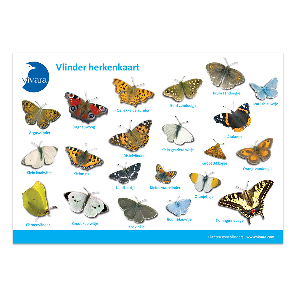 Kijkkaart Vlinders