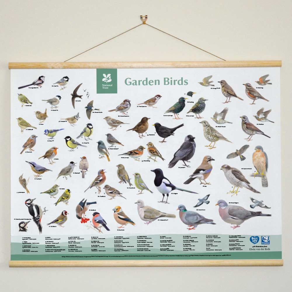 National Trust Garden Bird ID Chart Wall Hanging