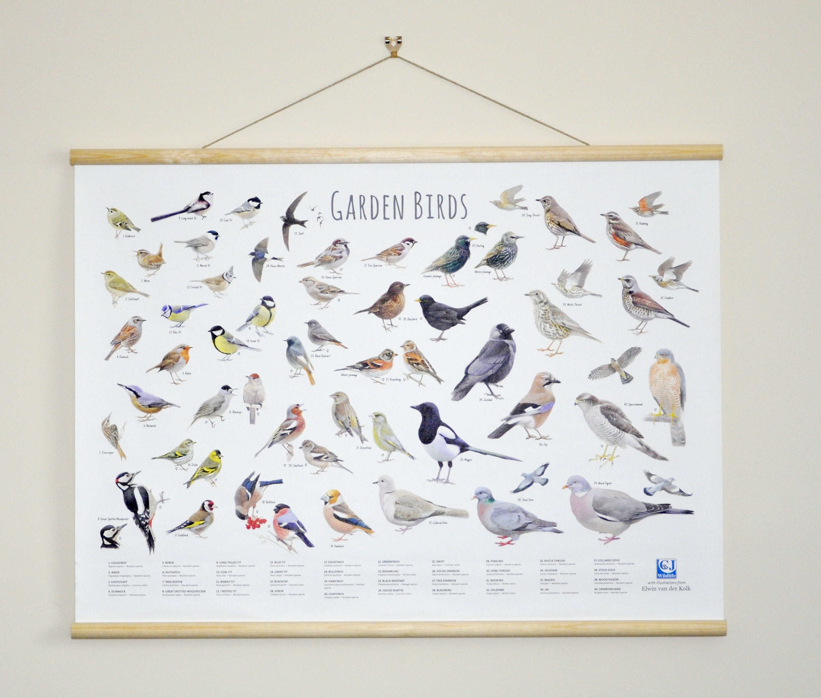 National Trust Garden Bird ID Chart Wall Hanging