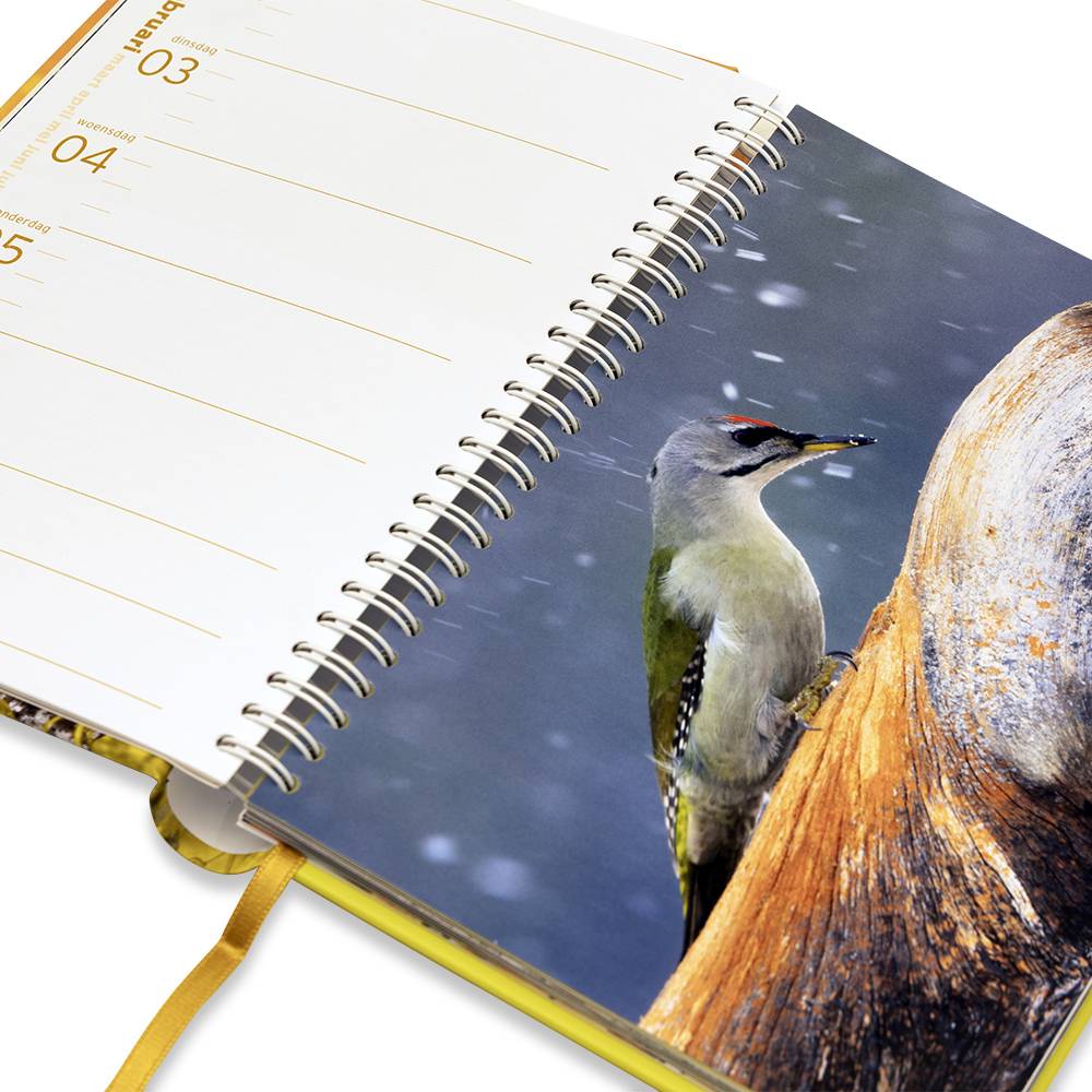 Vogelbescherming Agenda 2026
