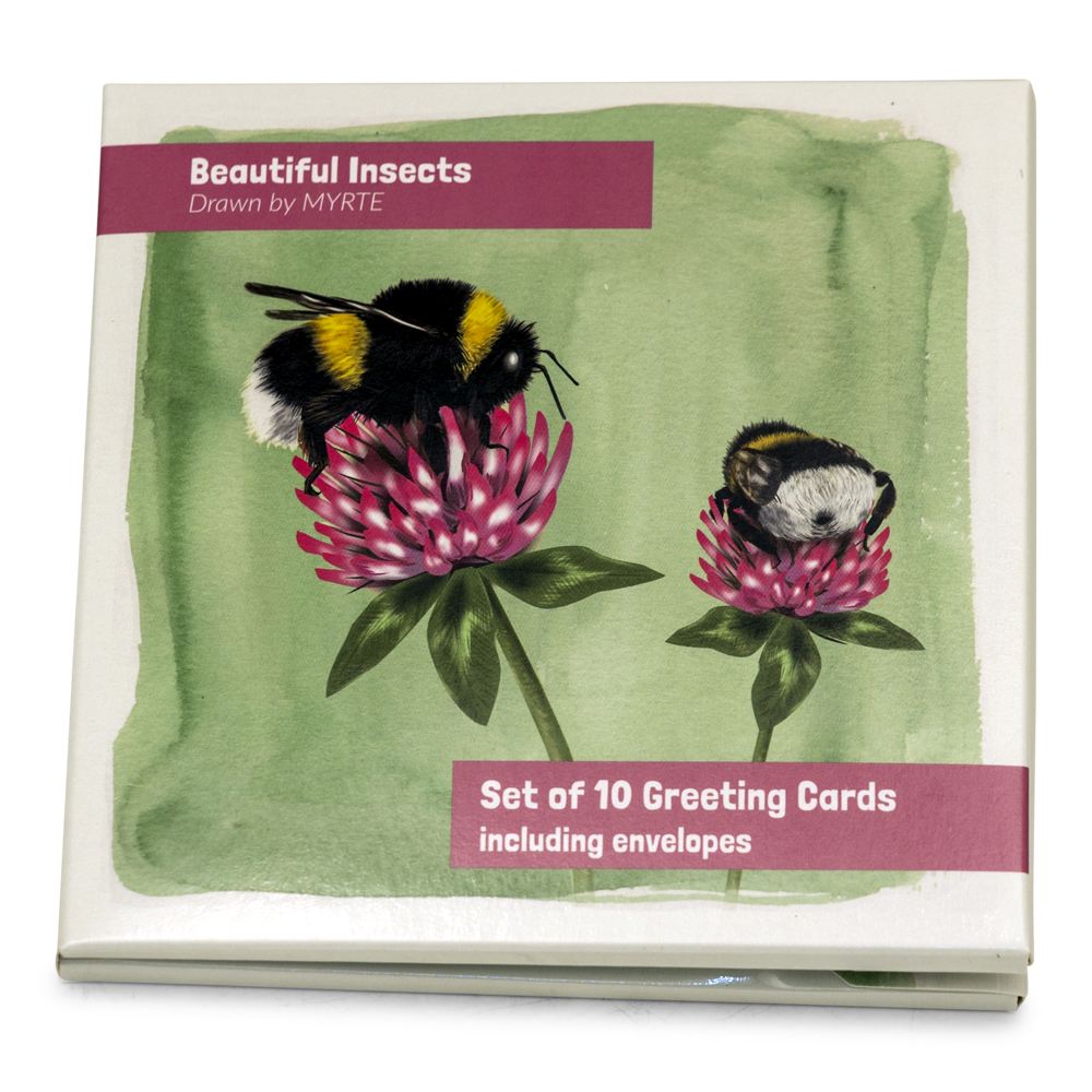 Insects Greeting Card Set (2 x 5 designs) by Myrte