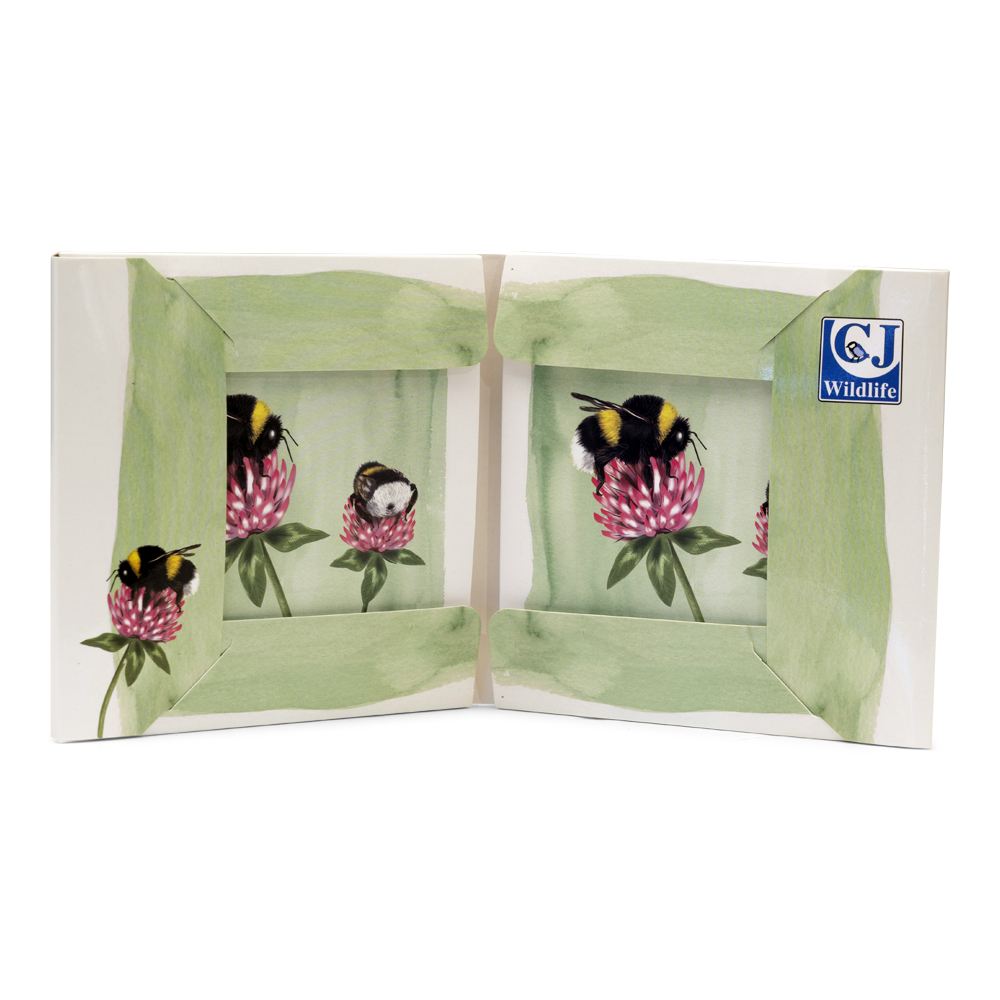 Insects Greeting Card Set (2 x 5 designs) by Myrte