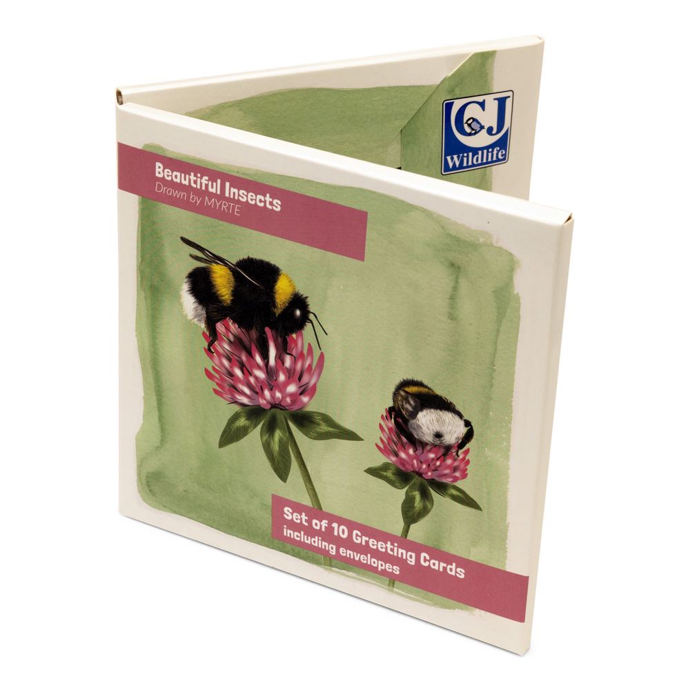 Insects Greeting Card Set (2 x 5 designs) by Myrte