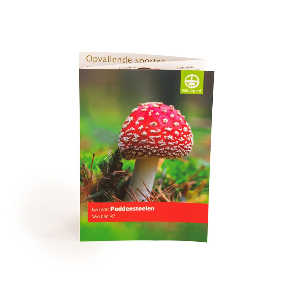 Natuurpunt kijkkaart Paddenstoelen