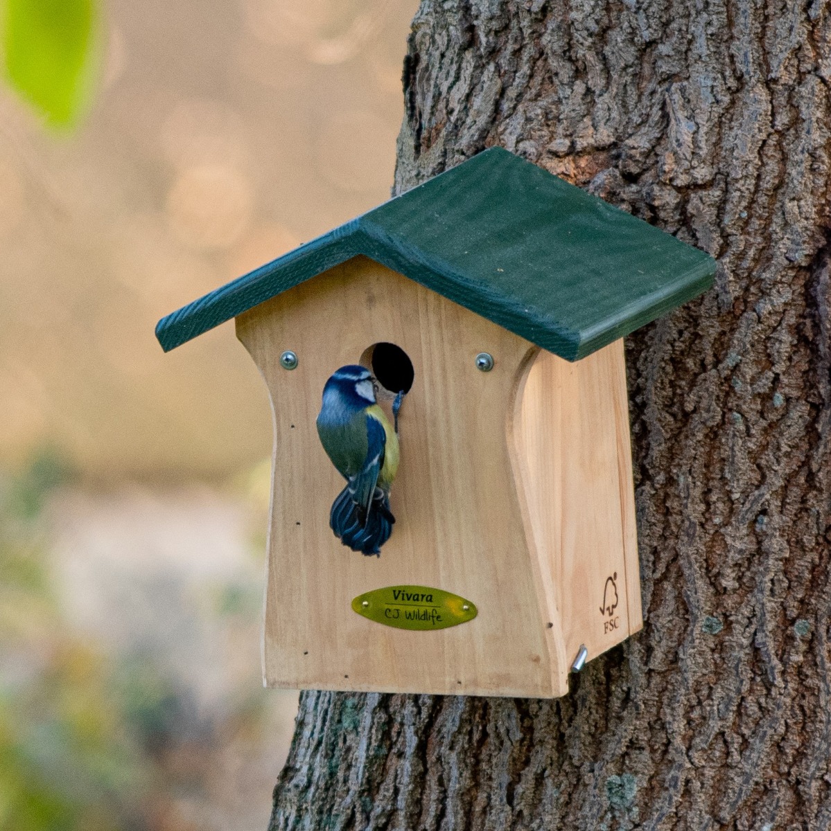 Bonaire 28mm Nest Box