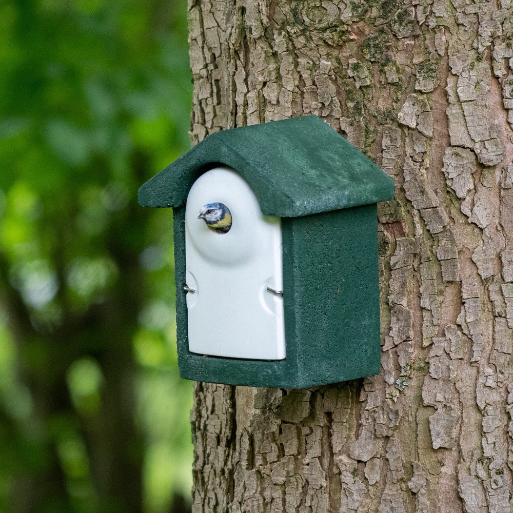 National Trust WoodStone® Green 28mm Nest Box