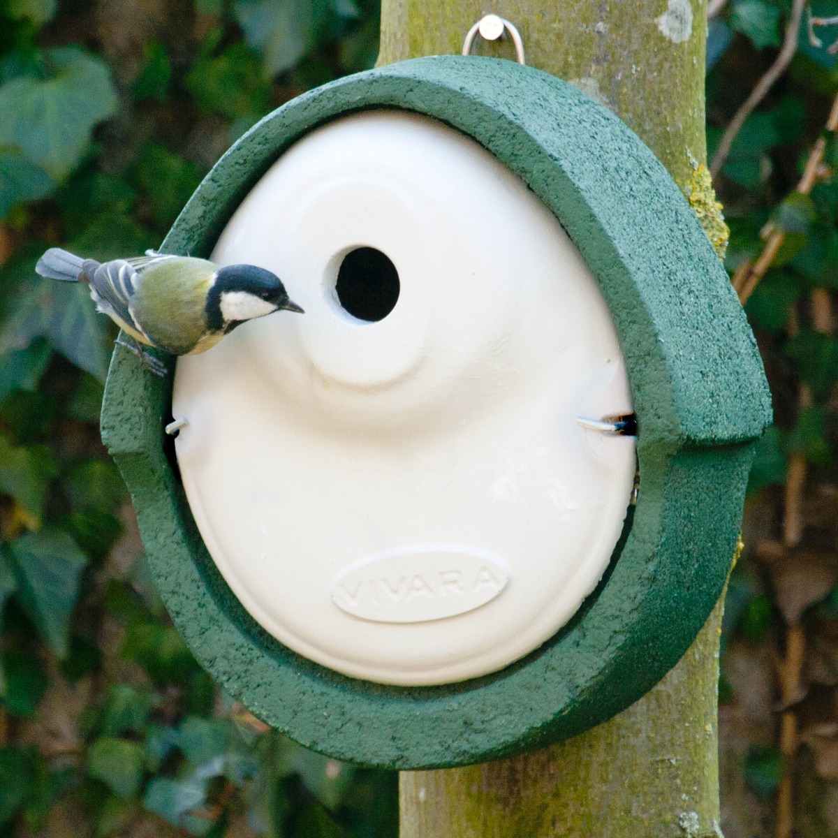 WoodStone® Alicante 28mm Nest Box (Green)