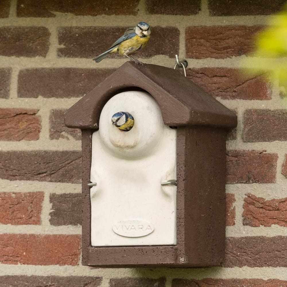 WoodStone® Seville 28mm Nest Box (Brown)