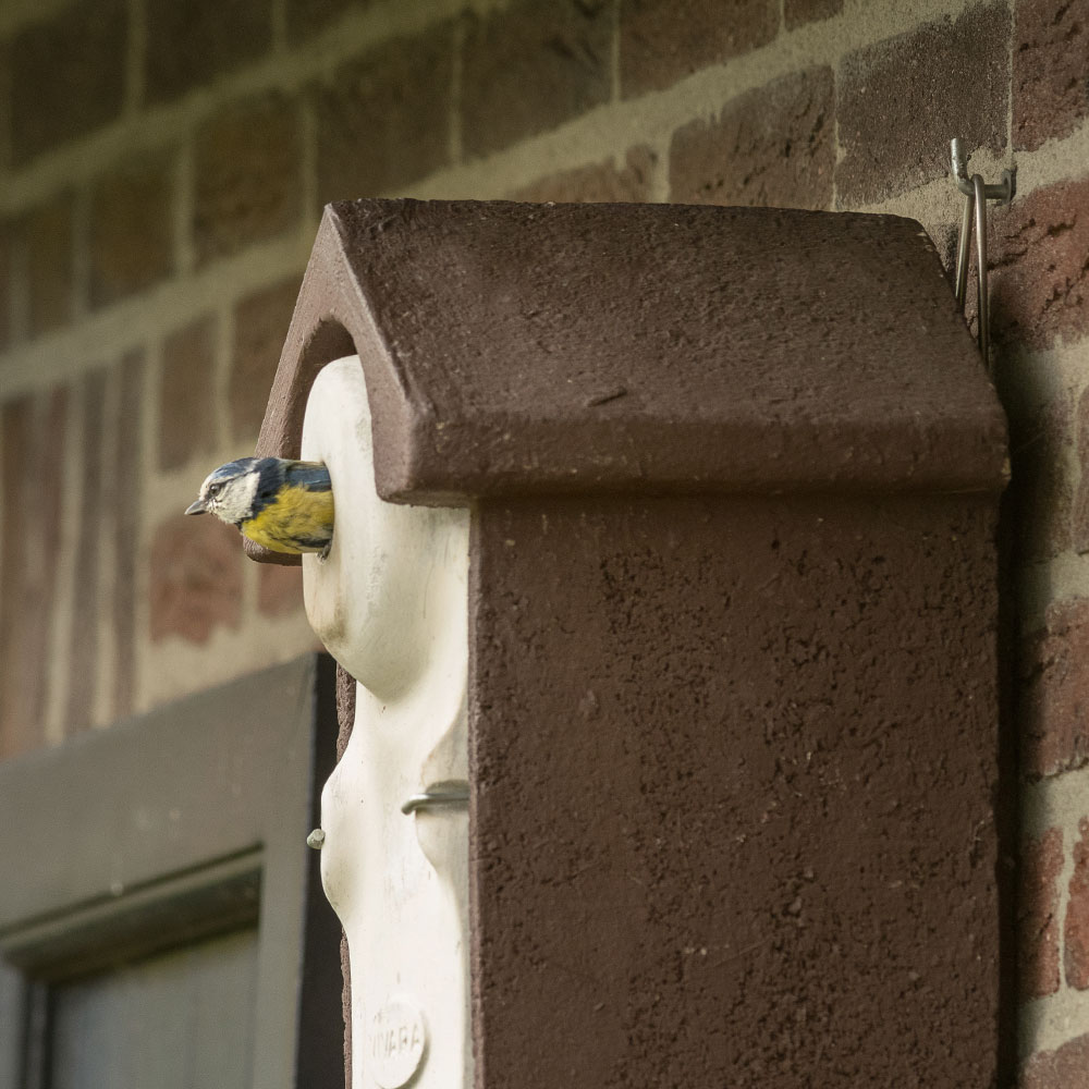 WoodStone® Seville 28mm Nest Box (Brown)