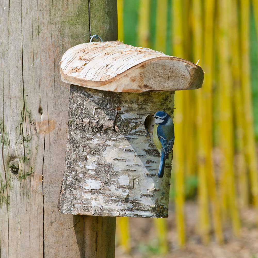 Stockholm 28mm Nest Box