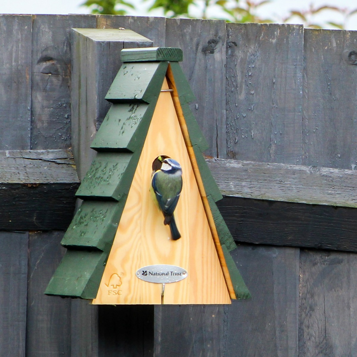 National Trust Aspen Larch 28mm Nest Box