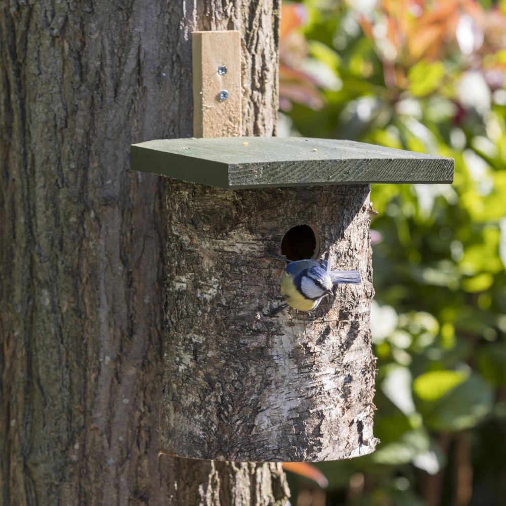 National Trust 28mm Nest Box Birch Log