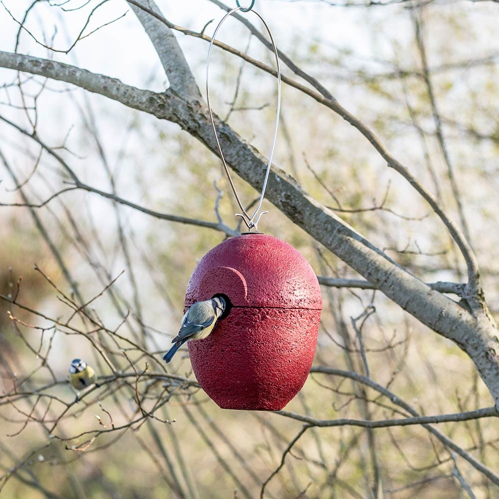 WoodStone® Malaga 32mm Hanging Nest Box (Red)