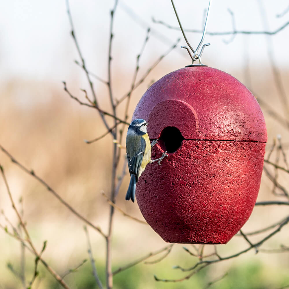 WoodStone® Malaga 32mm Hanging Nest Box (Red)