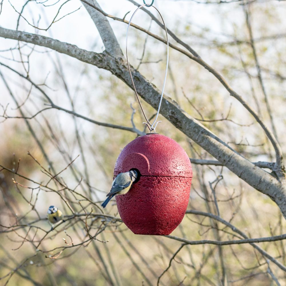 WoodStone® Malaga 32mm Hanging Nest Box (Red)