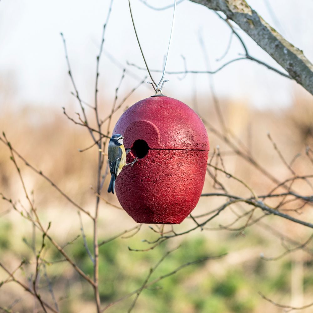 WoodStone® Malaga 32mm Hanging Nest Box (Red)