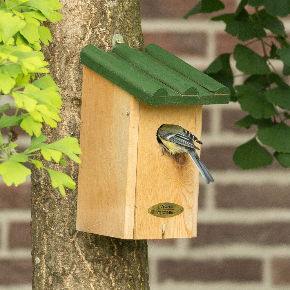 Saba 32mm Nest Box