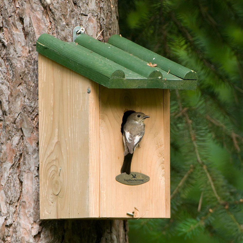 Saba 32mm Nest Box