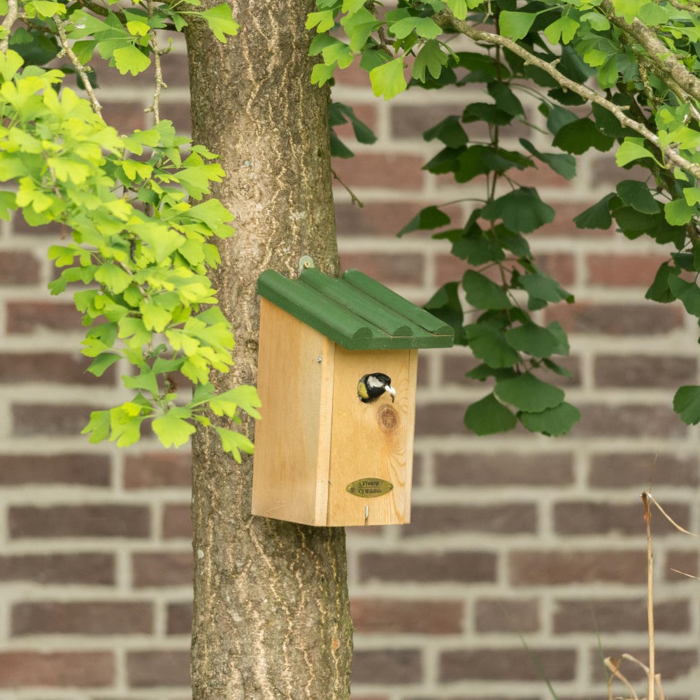 Saba 32mm Nest Box