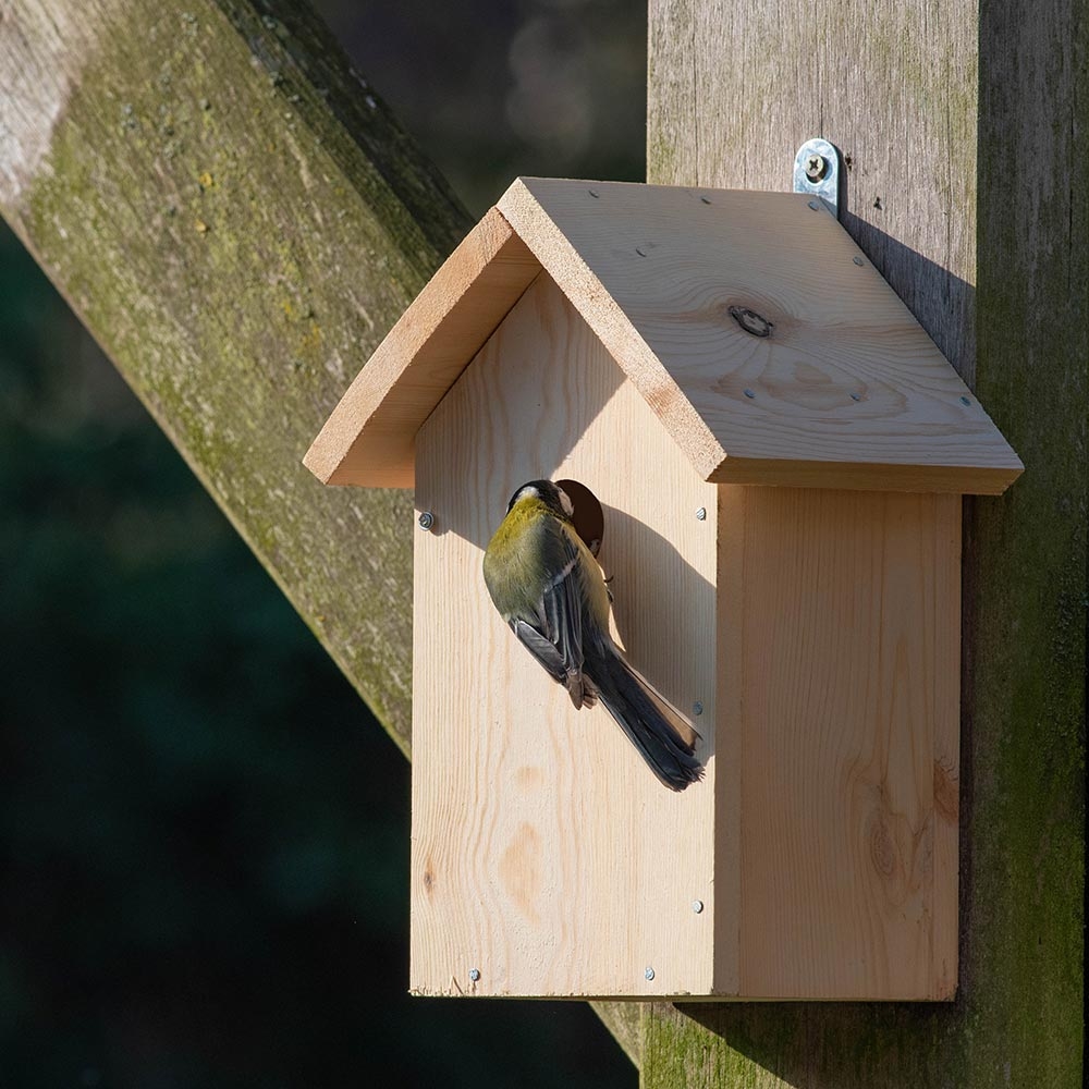 Bouwpakket Nestkast voor mezen 32 mm