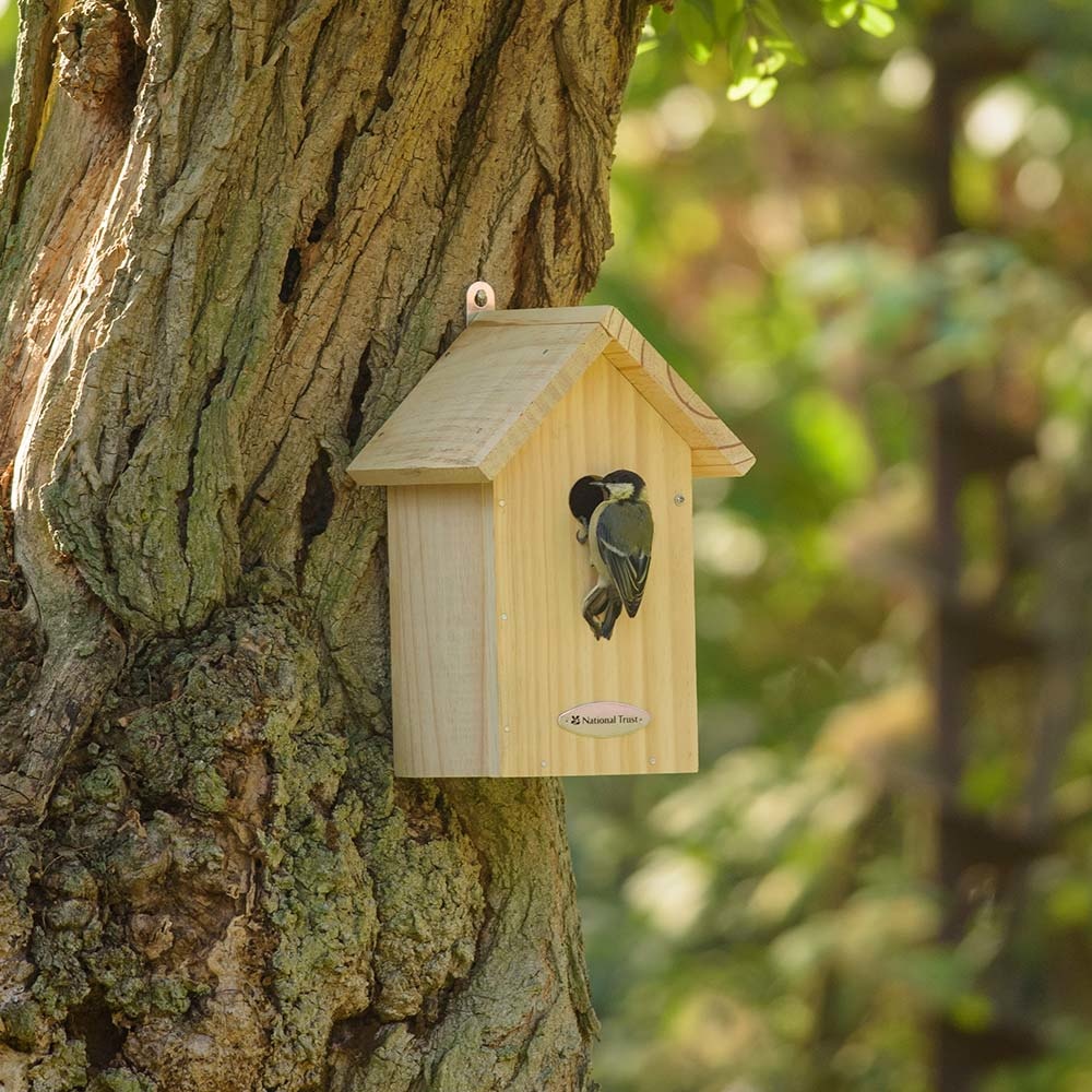 National Trust Build-Your-Own 32mm Nest Box