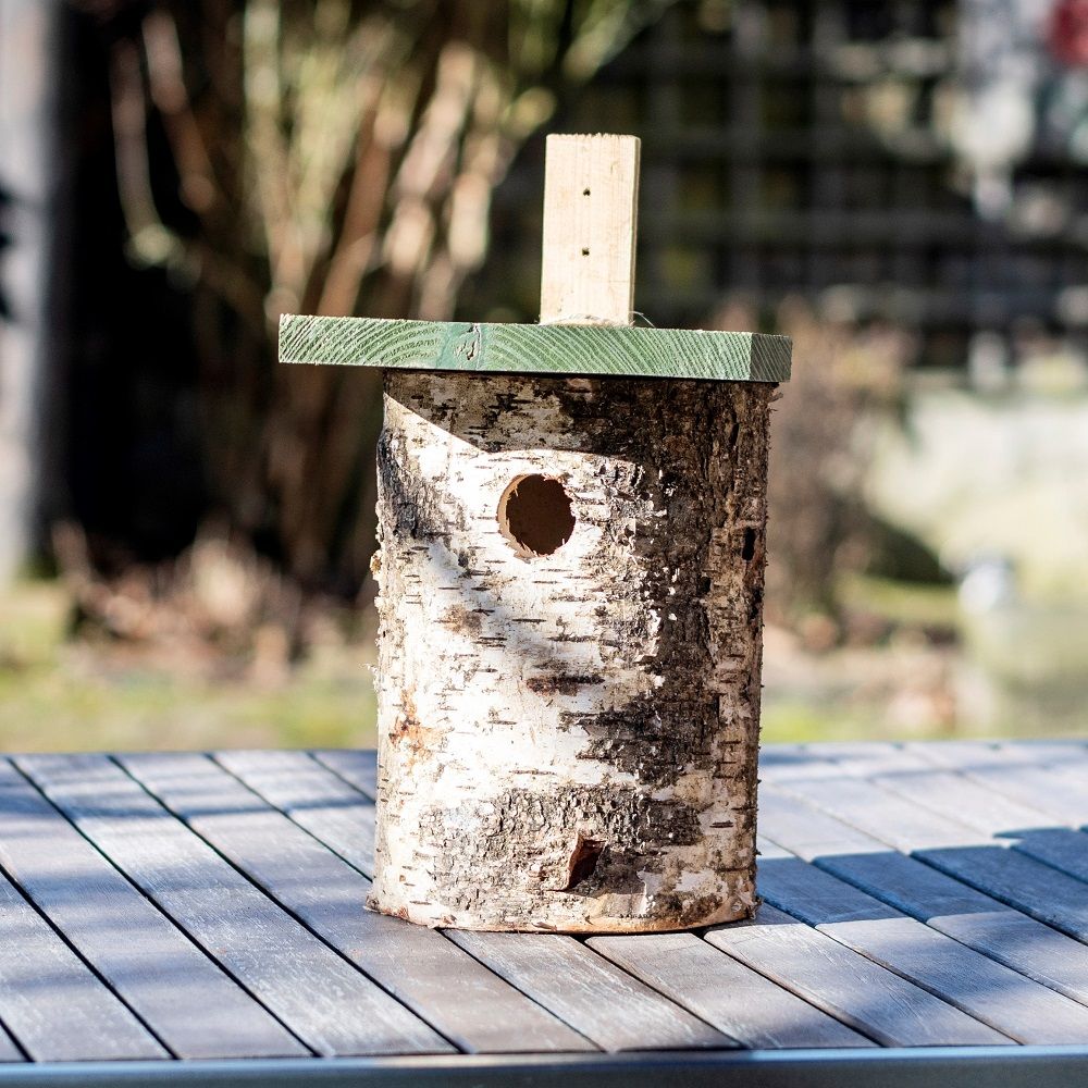 National Trust Birch Log Nest Box 32mm Hole