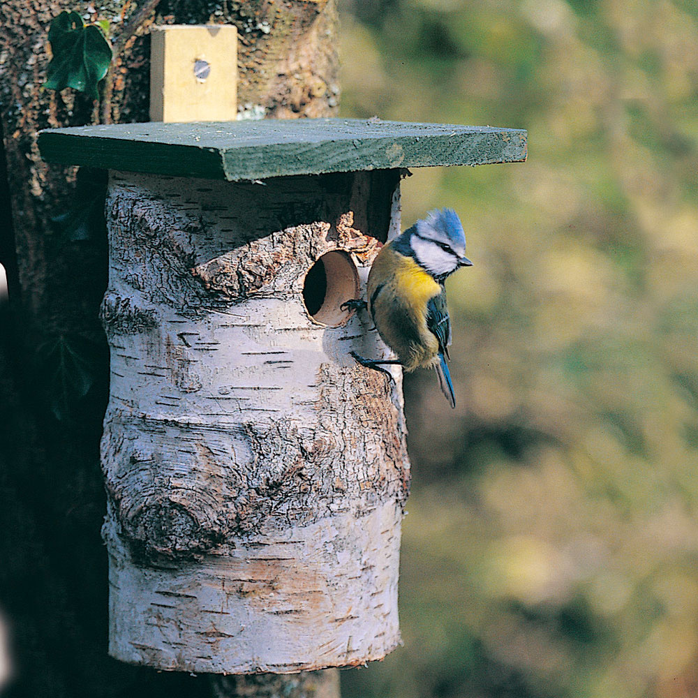 National Trust Birch Log Nest Box 32mm Hole