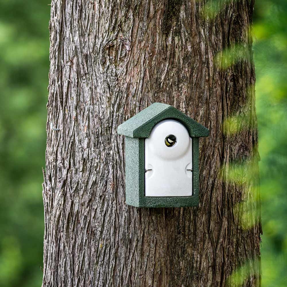 National Trust WoodStone® Green 32mm Nest Box