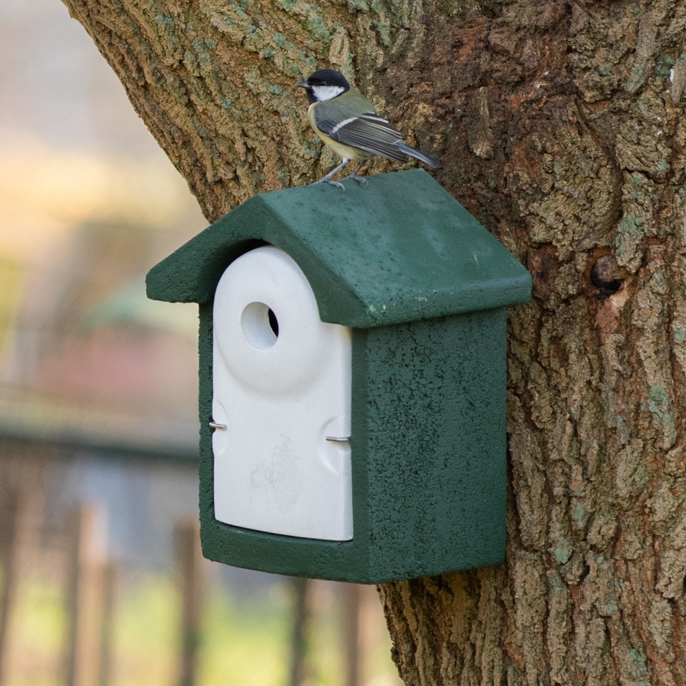 National Trust WoodStone® Green 32mm Nest Box