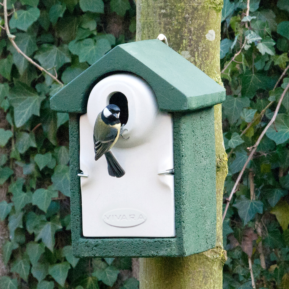 WoodStone® Seville 32mm Oval Hole Nest Box (Green)