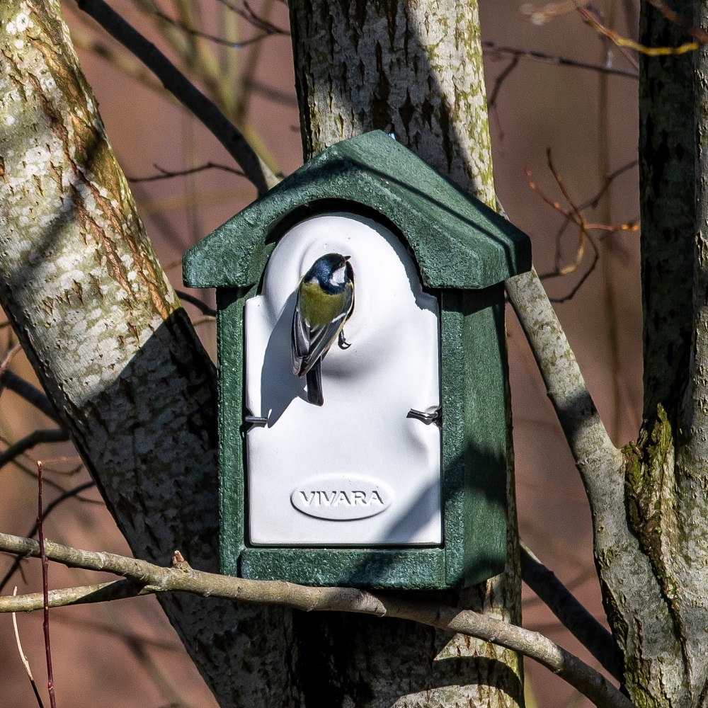 WoodStone® Seville 32mm Oval Hole Nest Box (Green)