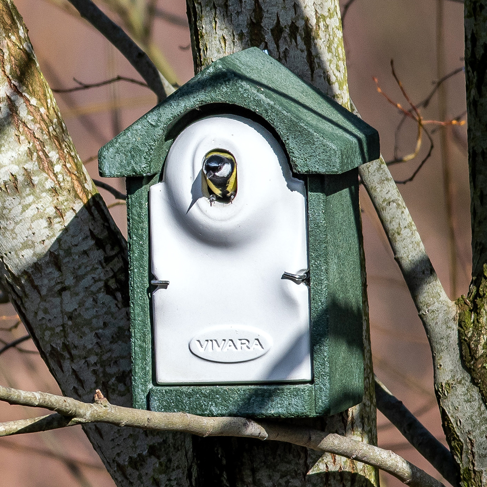 WoodStone® Seville 32mm Oval Hole Nest Box (Green)