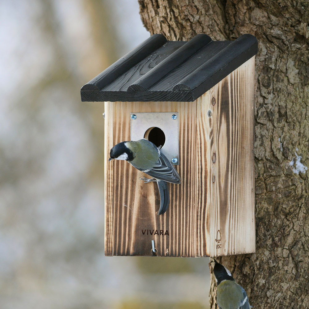 Travis 32mm Nest Box