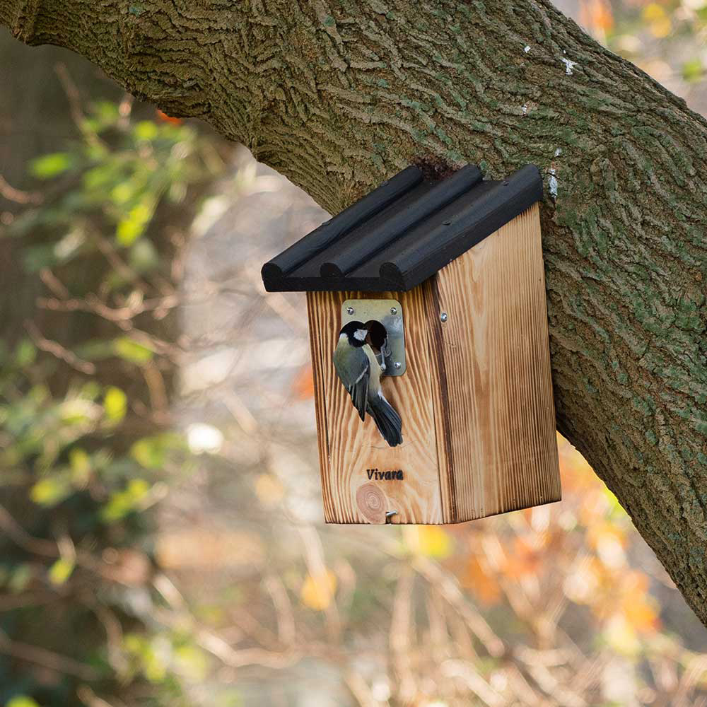 Travis 32mm Nest Box