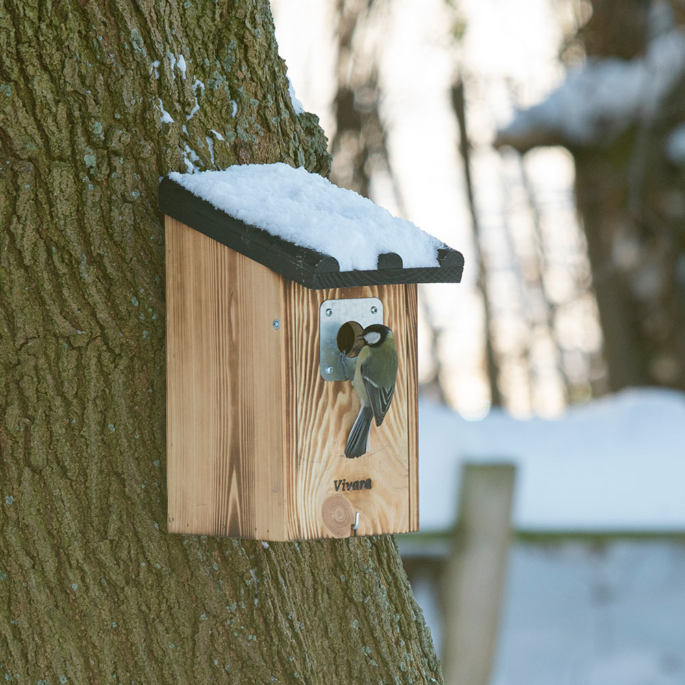 Travis 32mm Nest Box